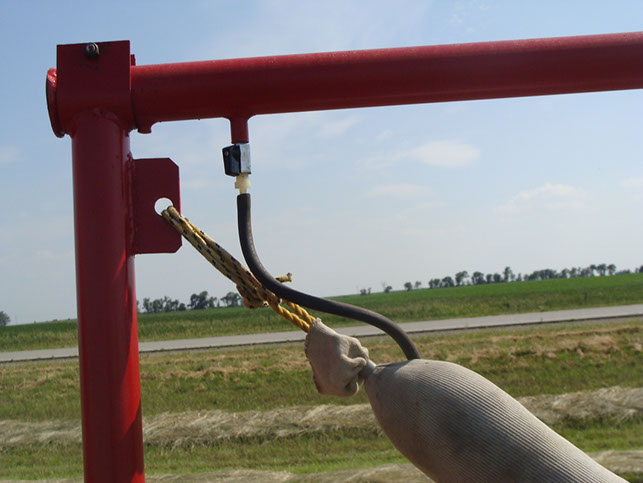 cattle_rub3 cattle rub