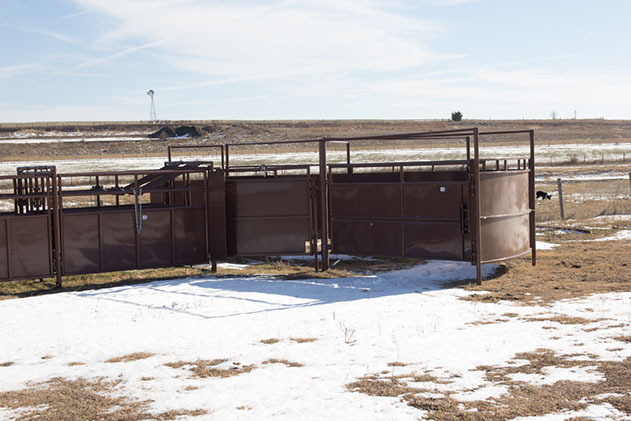 wotf-20 maverick cornerless tub